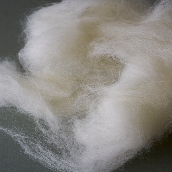 Bronte Lush Wool Filling - Double Scoured